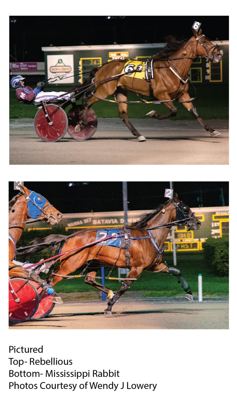 Morrill wins five including both features at Batavia Batavia Downs