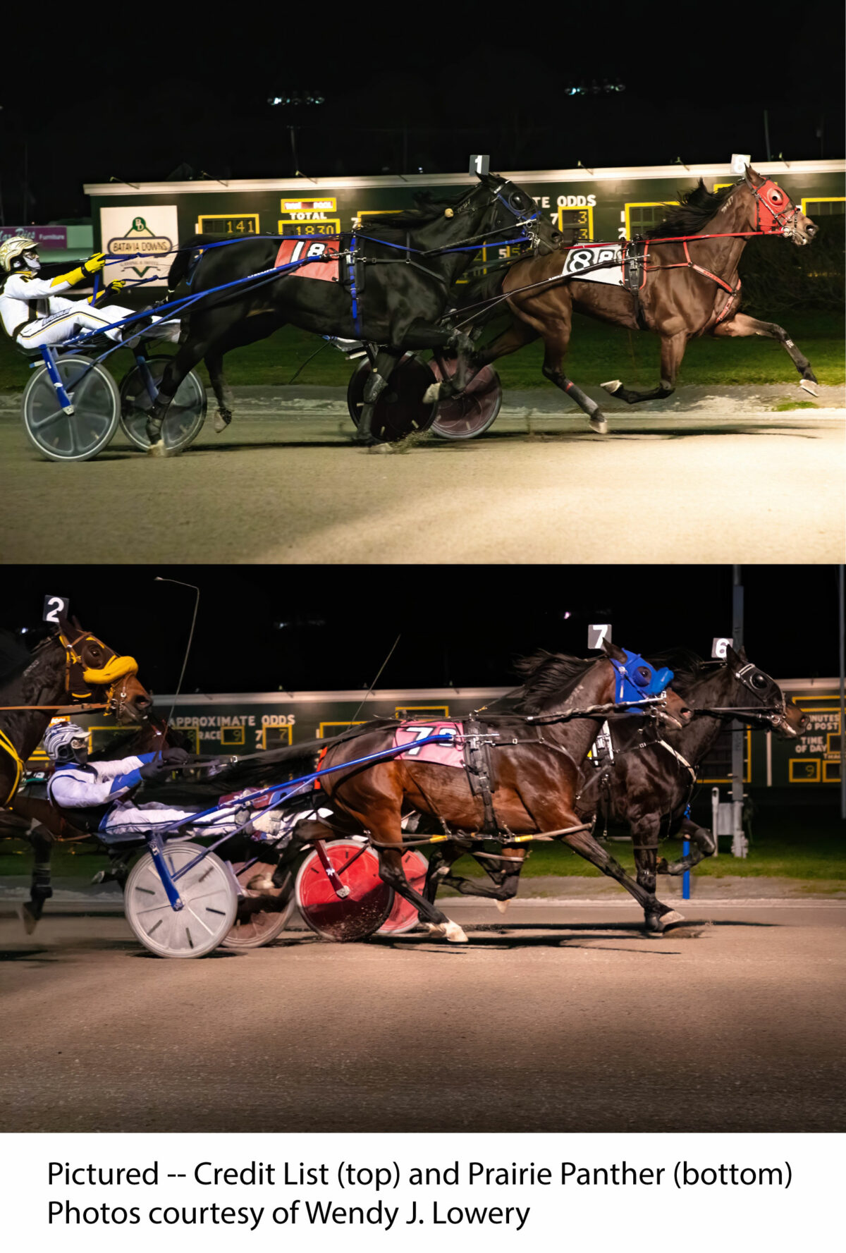 Morrill Sweeps Features; Monti Wins Five At Batavia - Batavia Downs ...